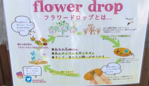 「三島スカイウォーク」へおでかけ！flower dropとは？